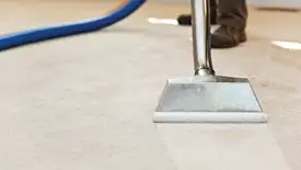 Carpet cleaning wand head gliding over a light carpet during hot-water extraction, Colorado Springs, CO.
